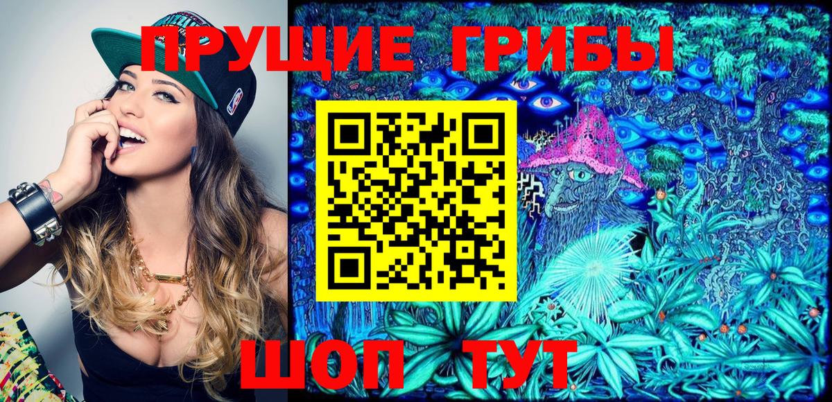 Псилоцибиновые грибы Psilocybe  Вход с VPN  как найти закладки  Киров 