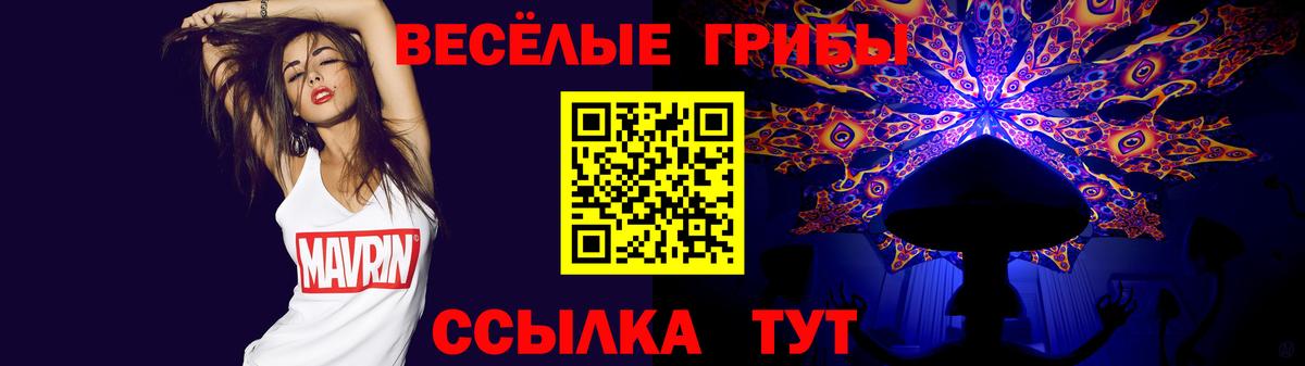 Псилоцибиновые грибы Cubensis Киров